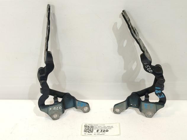 CERNIERE COFANO ANTERIORE DX E SX BMW Serie 1 Serie (E87) 7060560 7060559 M47N204D4 (07)