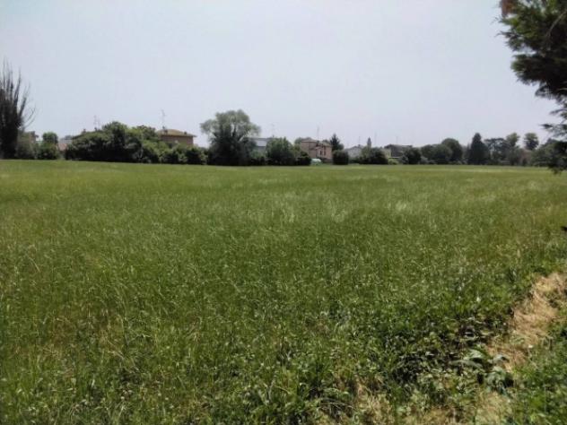 Immobile in asta di 37388 m² in vendita a Novellara - Foto 8