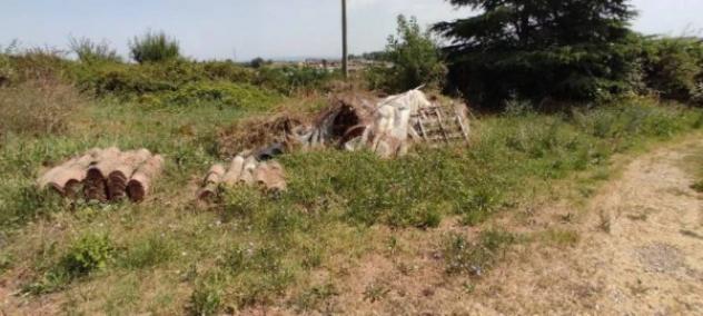 Immobile in asta di 76942 m² in vendita a Siena - Foto 14