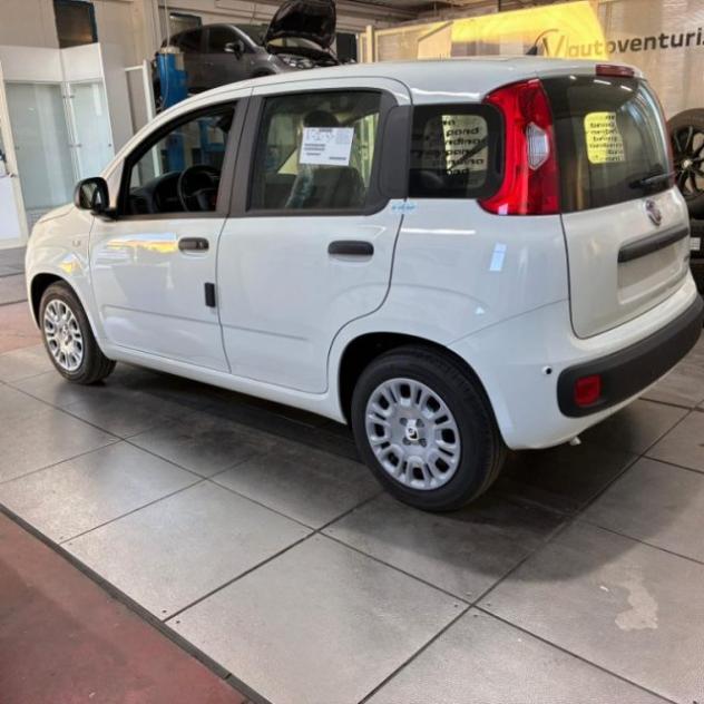 FIAT Pandina 1.0 FireFly 65 CV Hybrid Pop rif. 23614024 - Foto 8