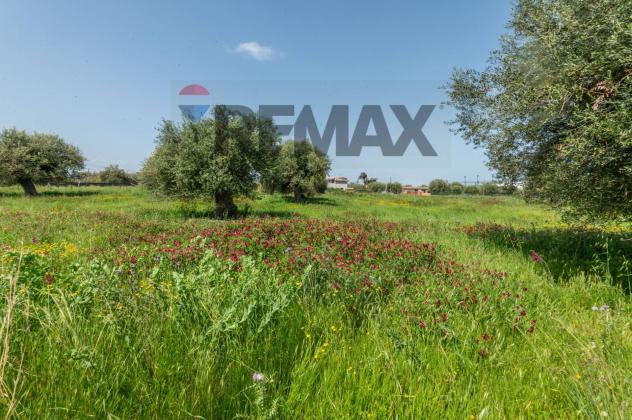 Terreno in vendita a Augusta - Foto 4