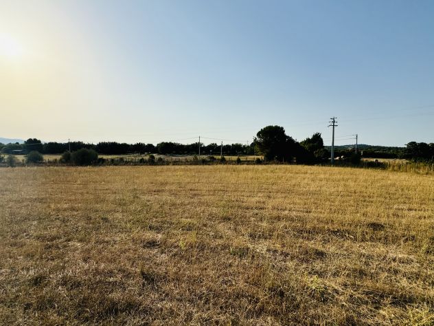 Terreno Agricolo in Bracciano - Foto 8