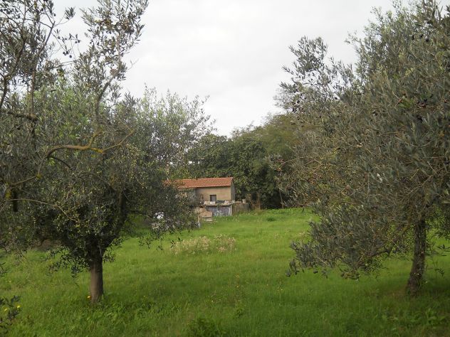 Terreno con anesso e pozzo - Foto 2