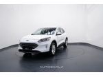 FORD Kuga 2.0 EcoBlue Hybrid 150cv 2WD Titanium Business rif. 23792981