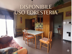 Trilocale in affitto a Sarego