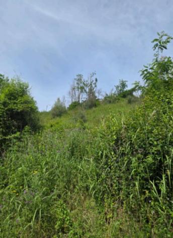 Immobile in asta di 10802 m² in vendita a Mileto