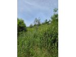 Immobile in asta di 10802 m² in vendita a Mileto
