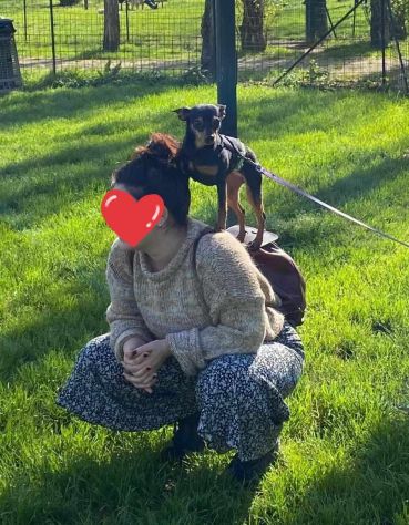STARLET, MINI PINSCHER dolcissima - Foto 8