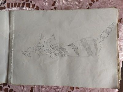 R135 -  ALBUM DI DISEGNODISEGNI ORIGINALI FATTI A MATITA. - Foto 2