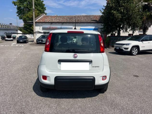 FIAT Panda 1.0 FireFly S&S Hybrid 70CV UNICO PROPRIETARIO rif. 23675530 - Foto 5