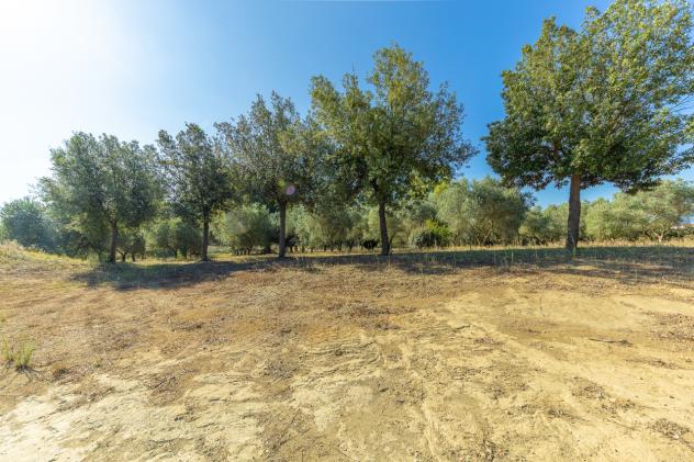 Villa in vendita a Montalto di Castro - Foto 17