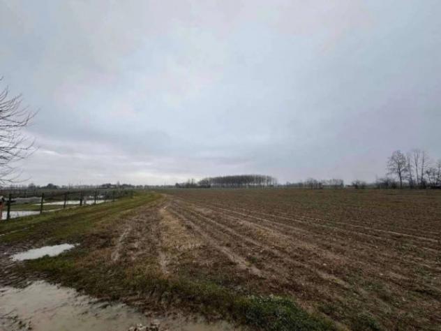 Immobile in asta di 35262 m² in vendita a Morgano - Foto 3