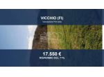 Immobile in asta di 5027 m² in vendita a Vicchio