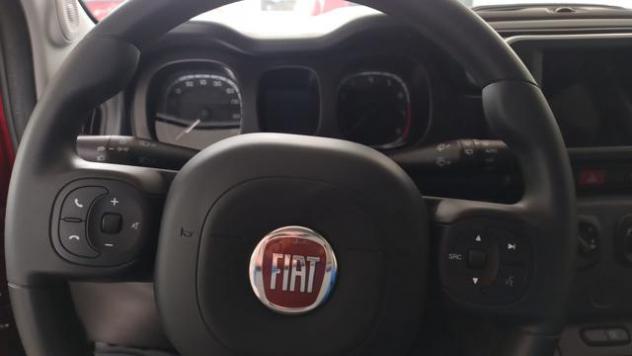 FIAT Panda Cross 1.0 FireFly S&S Hybrid - Foto 6