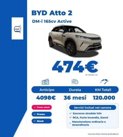 BYD Atto 2 45,1 kWh Active rif. 24198642 - Foto 3