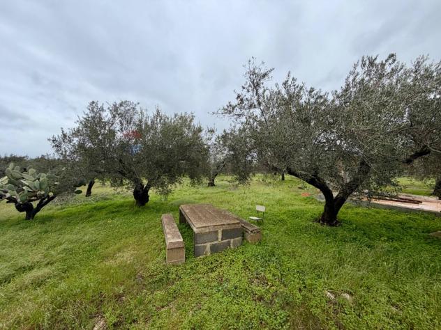 Terreno in vendita a Chiaramonte Gulfi - Foto 8