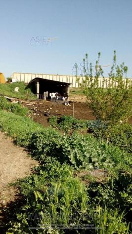 IMMOBILI-ALTRA CATEGORIA-Via Consolare Latina, 68 - Foto 4