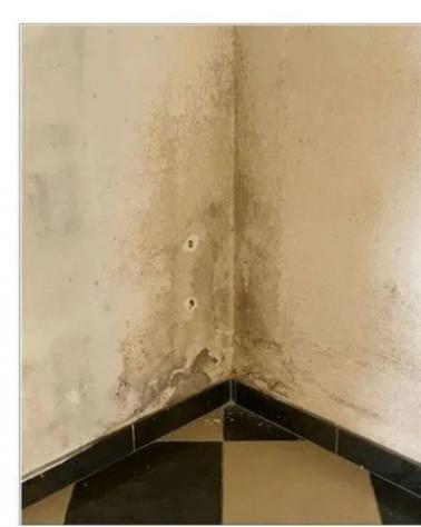 Immobile in asta di 108 m² con più di 5 locali in vendita a Noventa Padovana - Foto 18