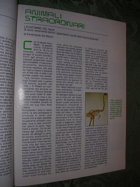 MISTERI - Foto 4