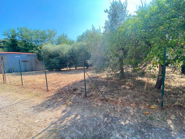 Terreno agricolo in vendita a Buti 1000 mq Rif: 1427835 - Foto 2
