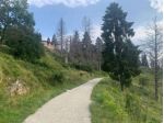 Immobile in asta di 141488 m² in vendita a Caltrano