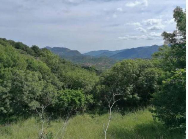 Immobile in asta di 326 m² in vendita a Castelbuono - Foto 8
