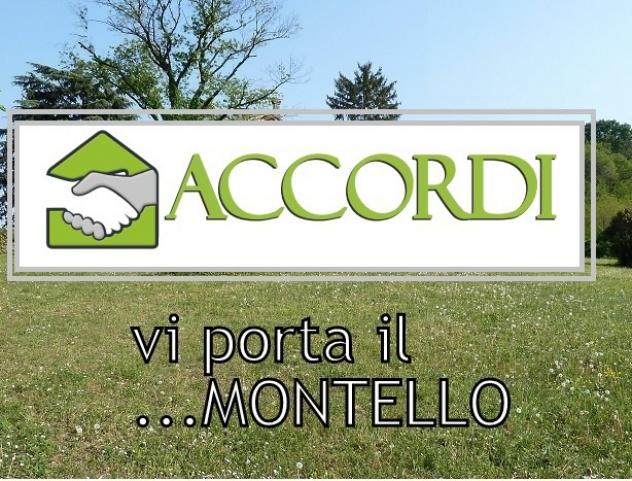 TERRENO AGRICOLO di 6000 mq (MONTEBELLUNA) rif. ZT19F_47
