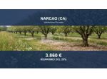 Immobile in asta di 3330 m² in vendita a Narcao