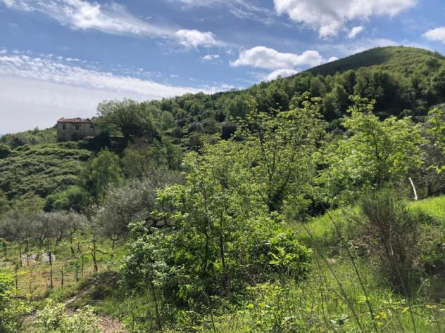 Agricolo di 95000mq - Foto 12