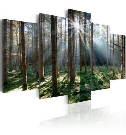 Quadro Foresta Selvaggia 100x50 E 200x100 ARREDALACASA