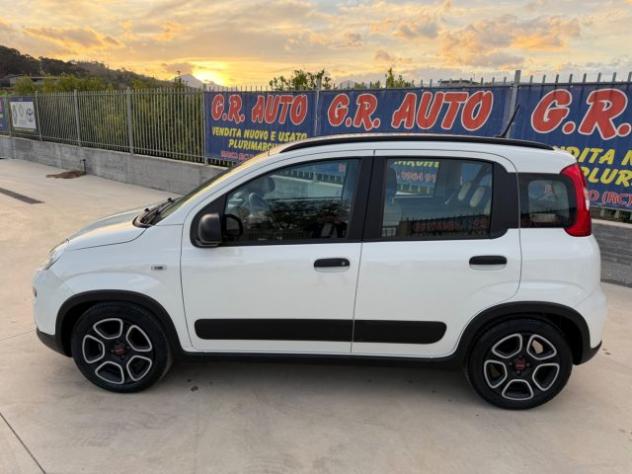 FIAT Panda Hybrid City Life AZIENDALE rif. 23968812 - Foto 6