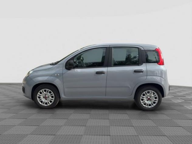 FIAT Panda Panda 1.0 FireFly Hybrid rif. 23952037 - Foto 2