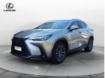 Lexus NX Hybrid 4WD Premium