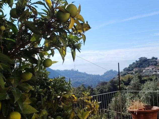 Villa in vendita a Serra - Montignoso 180 mq Rif: 1455428 - Foto 8