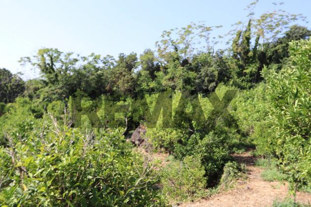 Terreno in vendita a Mascali, Santa Venera - Foto 20