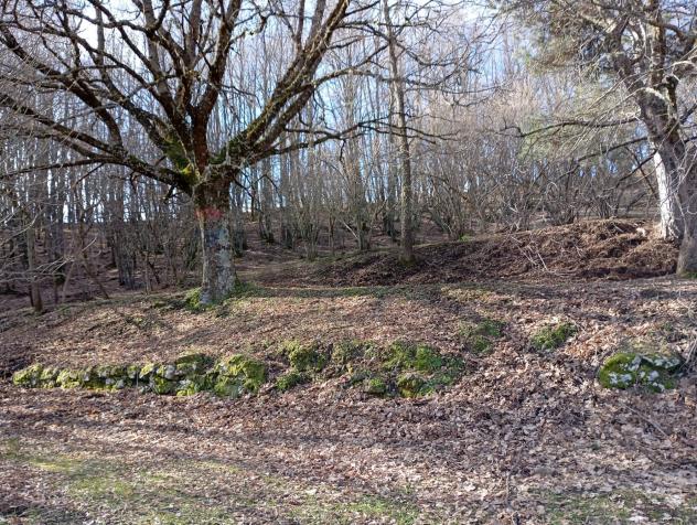 Terreno in vendita a Santa Domenica Vittoria - Foto 16