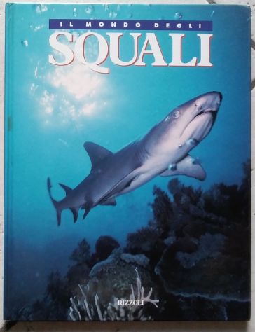 il mondo degli squali di Sheena Coupe