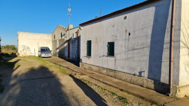 Rif. 02T Bernalda-Azienda agricola in vendita - Foto 3