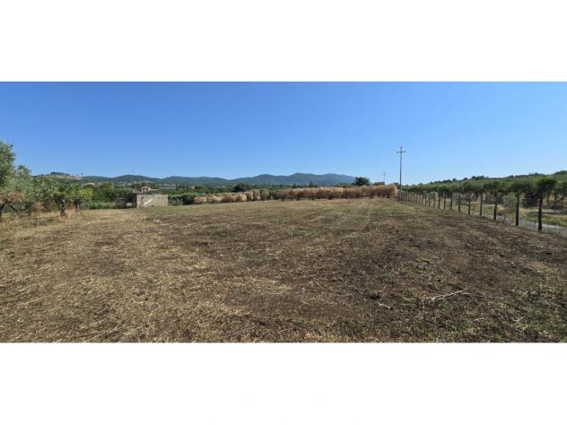 Agricolo in Via Cinelli - Foto 8