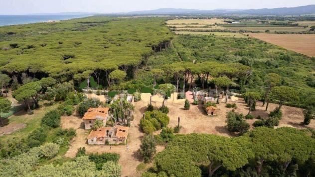 Agriturismo in Vendita in zona DONORATICO con giardino
