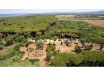 Agriturismo in Vendita in zona DONORATICO con giardino