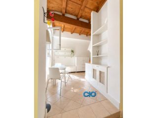 Loft in affitto a Bologna
