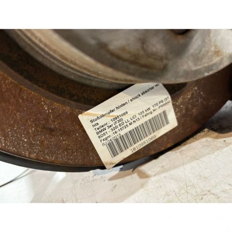 BMW 3 F30 / F31 Mozzo posteriore sinistro - 16250