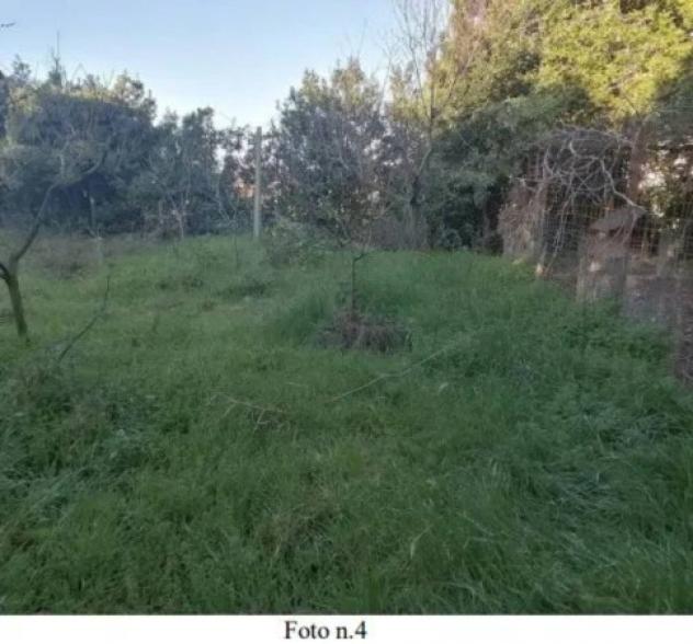 Immobile in asta di 514 m² in vendita a Grottazzolina - Foto 6