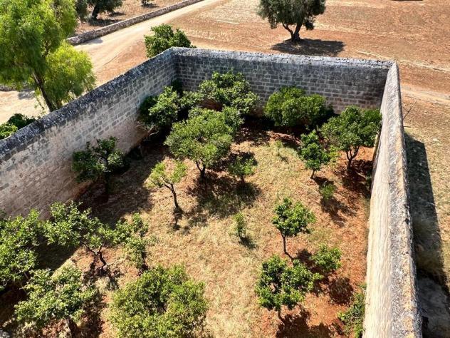 Casale in vendita a Ostuni - Foto 7