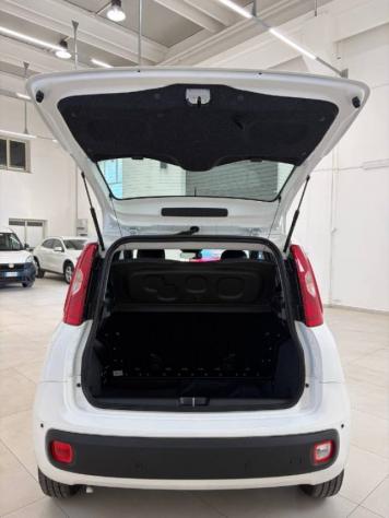 FIAT Panda 1.0 FireFly S&S Hybrid Pandina rif. 23914254 - Foto 6