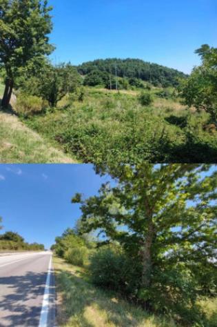 Immobile in asta di 10550 m² in vendita a Pietrabbondante - Foto 9