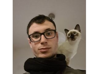 Cat sitting
