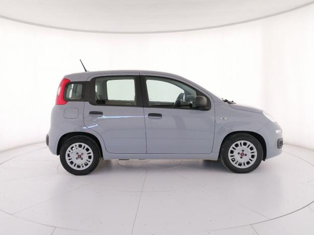 FIAT Panda 1.0 firefly hybrid s&s 70cv 5p.ti - Foto 3