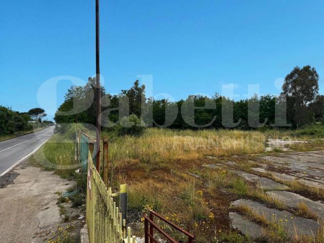 Terreno Residenziale - Pastorano . Rif.: Cod. rif 3318412VRG - Foto 5